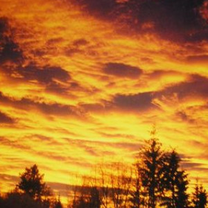 University of Northern British Columbia, tỉnh bang B.C, Canada. 