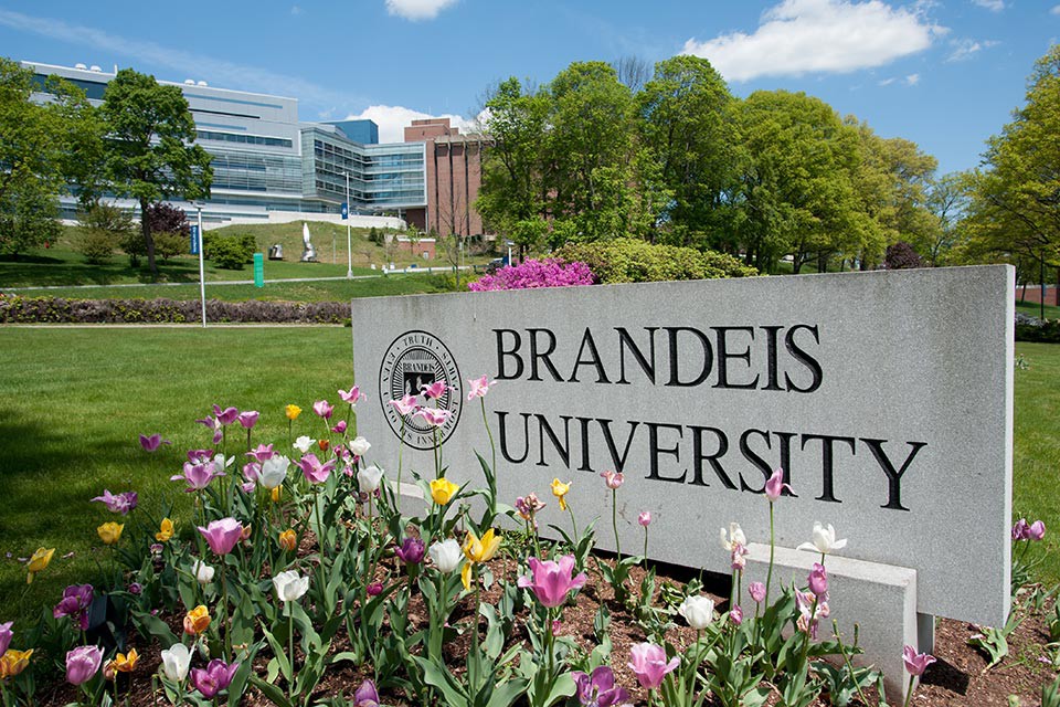 Đại học Brandeis
